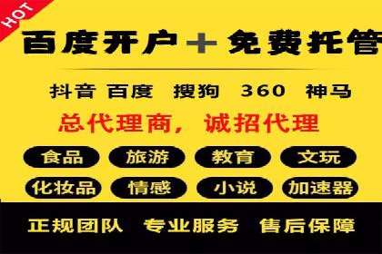 网络推广策略：竞价广告的实践案例